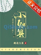 小知县小说