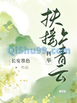 扶摇上青云（科举）小说