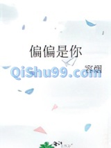 偏偏是你小说