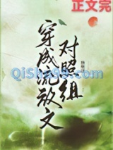 穿成流放文对照组小说