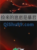 捡来的崽崽是暴君小说