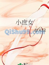 小庶女小说