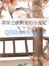 清穿之康熙家的小宠妃小说