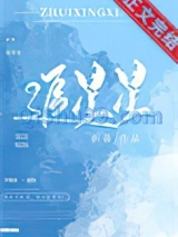 追星星小说