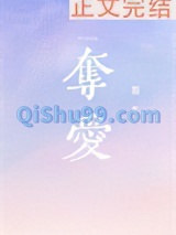 夺爱小说