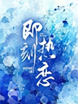 即刻热恋小说