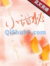 小甜秘小说