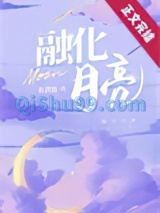 融化月亮小说
