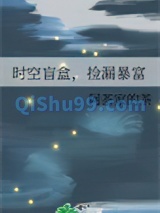 时空盲盒，捡漏暴富小说