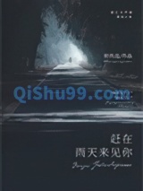 赶在雨天来见你小说