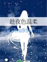 趁夜色温柔小说