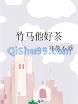 竹马他好茶小说