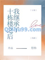 我继承了十栋楼之后小说