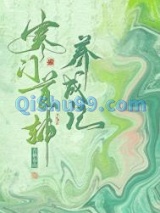 寒门首辅养成记小说