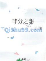 非分之想小说