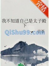 我不知道自己是太子殿下小说