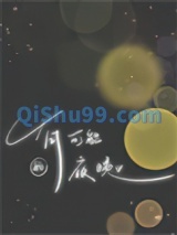 有可能的夜晚小说