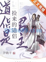 捡来的道侣是男主小说