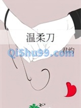 温柔刀小说