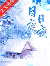 日日夜夜小说