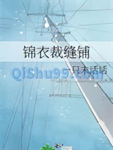 锦衣裁缝铺小说