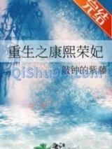 重生之康熙荣妃小说