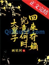 大皇子究竟何时夺嫡小说
