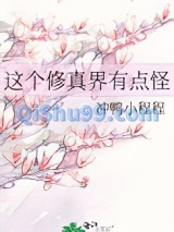 这个修真界有点怪小说