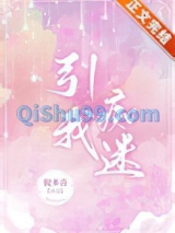 引我痴迷小说