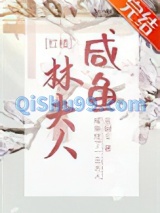 [红楼]咸鱼林夫人小说