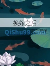 换嫁之后小说