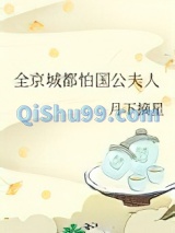 全京城都怕国公夫人小说