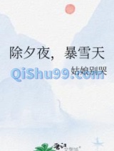 除夕夜，暴雪天小说