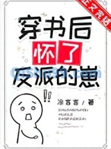 穿书后怀了反派的崽小说