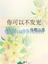 你可以不发光小说