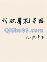 我欲穿花寻路小说