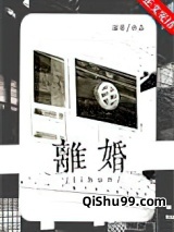 没有离婚这一说小说