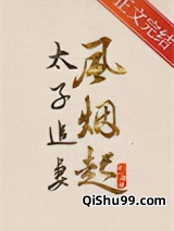 太子追妻风烟起小说