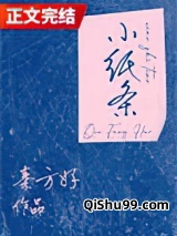 小纸条小说
