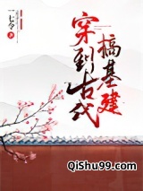 穿到古代搞基建小说