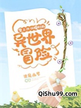 背上四份婚约的异世界冒险小说