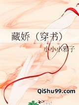 藏娇（穿书）小说