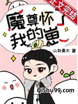 魔尊怀了我的崽[穿书]小说