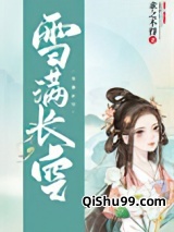 雪满长空小说