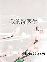 我的沈医生小说