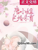 唐小姐已婚未育小说