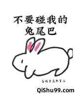 不要碰我的兔尾巴小说