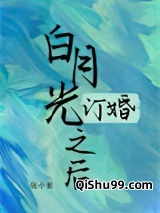 白月光订婚之后小说