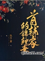 首辅家的锦鲤妻小说