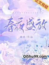 春夜盛放小说